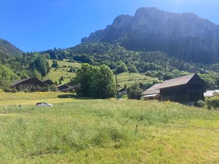 vente terrain 1150 m² abondance (74360)