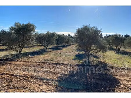 vente terrain 7500 m² aureille (13930)