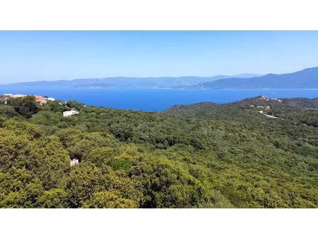 vente terrain 2000 m² à belvédère-campomoro (20110)  270 000 €