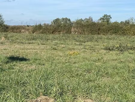 vente terrain 659 m² bressols (82710)