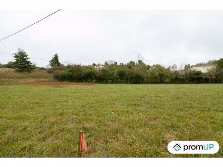 vente terrain 1346 m² castres (81100)