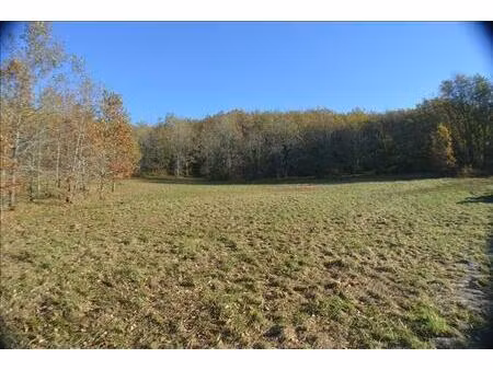 vente terrain 4400 m² cazals (46250)