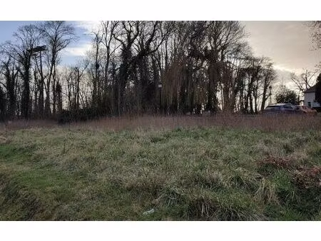 terrain chailly-en-brie m² t- à vendre  98 000 €