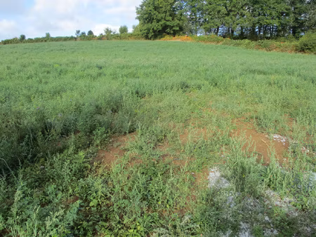 beau terrain en sortie de bourg.