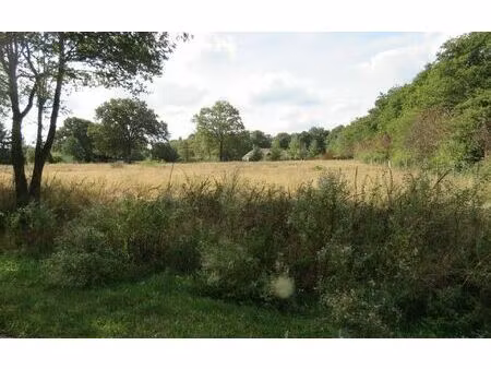 terrain clémont m² t- à vendre  31 500 €