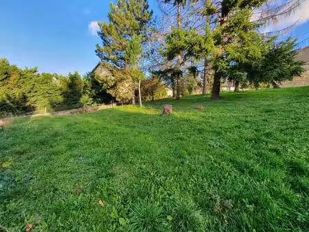 terrain avec vue