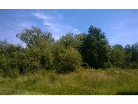 terrain dhuizon m² t- à vendre  34 000 €