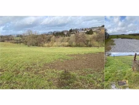 terrain à vendre de 12821 m² à morialmé (vay13508)