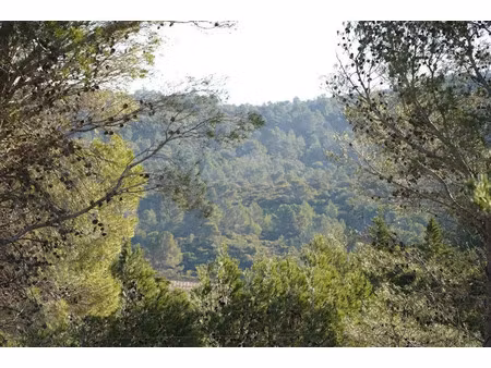 vente terrain 1700 m² à fontjoncouse (11360)  107 000 €