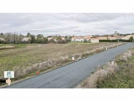 vente terrain à grues (85580) : à vendre / grues