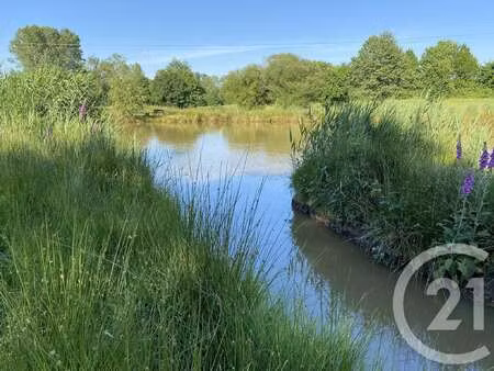 vente terrain à la bazouge-du-désert (35420) : à vendre / 20000m² la bazouge-du-désert