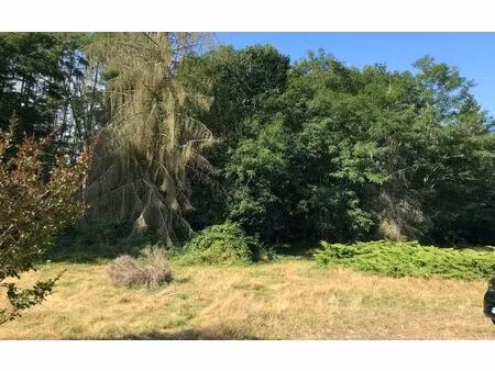 terrain la ferté-saint-cyr m² t- à vendre  90 000 €