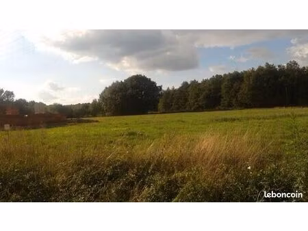 terrain 2 695 m² langon sur cher