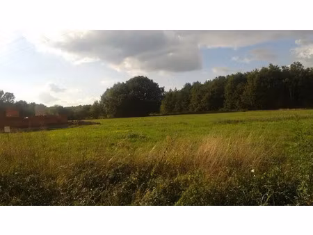 vente terrain 2695 m² à langon-sur-cher (41320)  31 000 €