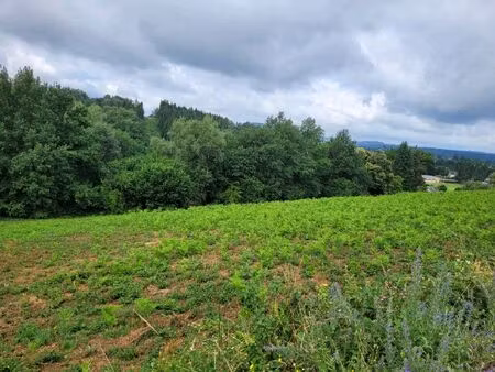 vente terrain 4856 m² lanobre (15270)