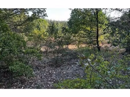 terrain lauraguel m² t- à vendre  49 000 €