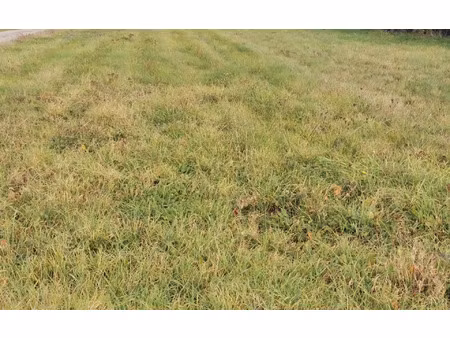 terrain longages 1183 m² t-0 à vendre  79 000 €