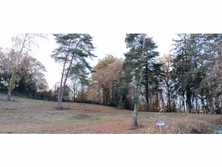 terrain de 4445m2 à vendre à 10 minutes de tulle