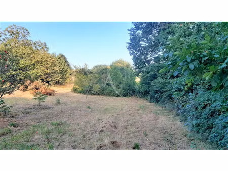 vente terrain  1343.00m²  massoulès