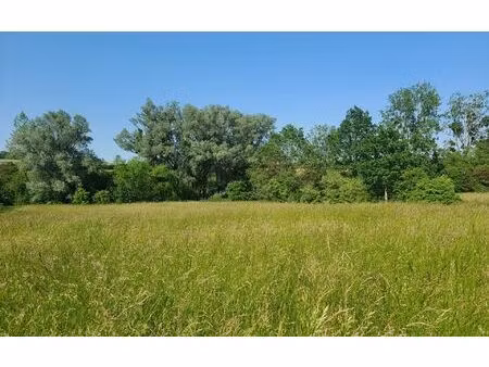 terrain meroux 1311 m² t-0 à vendre  90 000 €