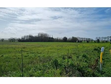 terrain muron 2161 m² t-0 à vendre  185 500 €