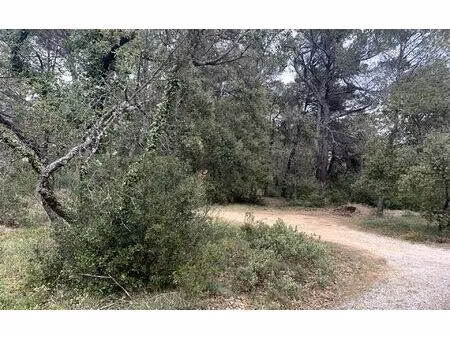 terrain nans-les-pins m² t- à vendre  33 000 €