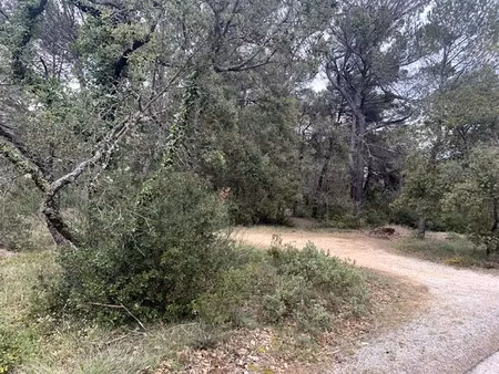 vente terrain 2400 m² à nans-les-pins (83860)  33 000 €