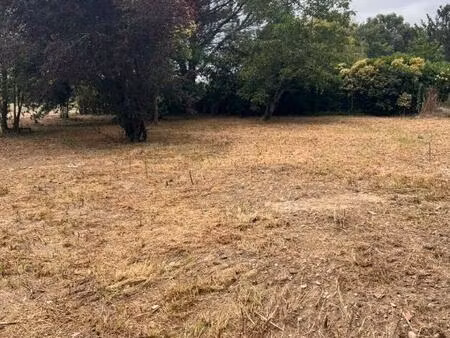 terrain noé 1732 m² -