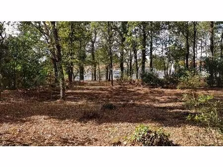 vente terrain à notre-dame-de-riez (85270) : à vendre / 591m² notre-dame-de-riez