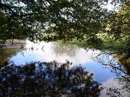 vente terrain 10836 m² à romorantin-lanthenay (41200)  82 500 €