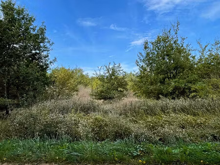 vente terrain  2029.00m²  romorantin