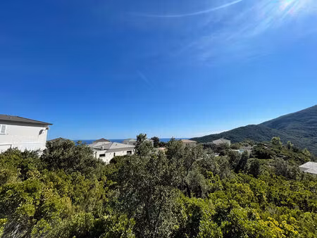 vente terrain 2792 m² vue mer et montagne partine - santa maria di lota