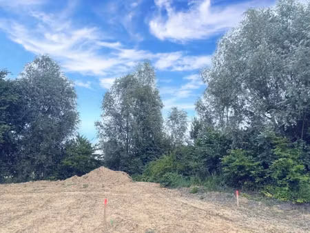 vente terrain 503 m² à templeuve (59242)  179 000 €