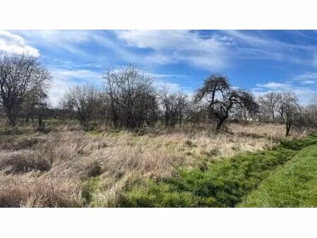 en vente terrain constructible 8 71 ares – 40 000 € |arracourt