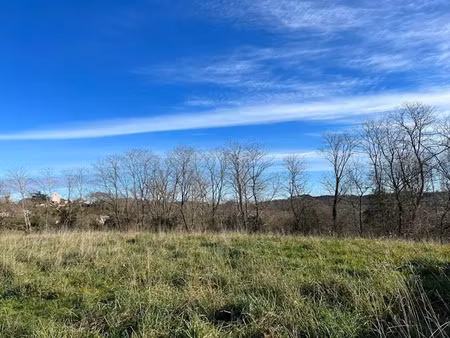 vente terrain 1537 m² à belus (40300)  79 000 €