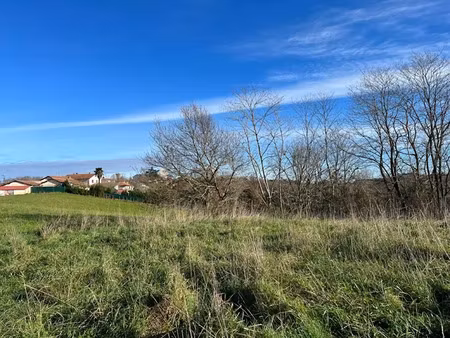 vente terrain 4754 m² à belus (40300)  65 000 €