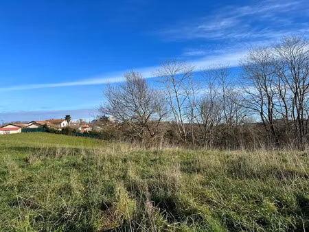 vente terrain 5169 m² à belus (40300)  79 000 €