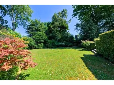 chant d'oiseau très beau terrain de 11 ares 61 ca