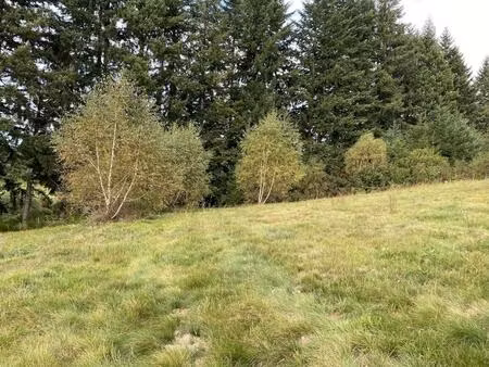 terrain à bâtir sur bugeat à deux pas des commerces. superficie 2376m² environ