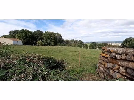 vente terrain 2435 m² chantonnay (85110)