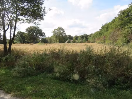 vente terrain 2160 m² à clémont (18410)  31 500 €