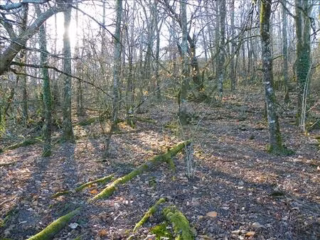 vente terrain 3460 m² curemonte (19500)