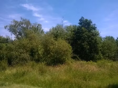 vente terrain à batir 1110 m² à dhuizon (41220)  34 000 €