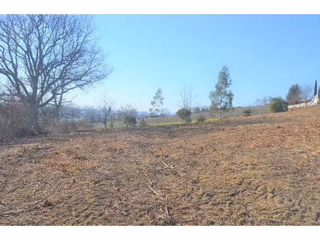 vente terrain 1138 m² giroussens (81500)