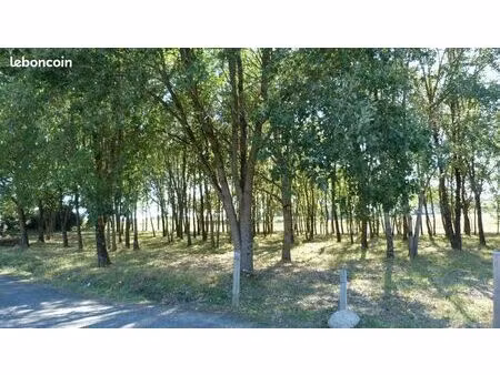 terrain 1406 m² goudourville