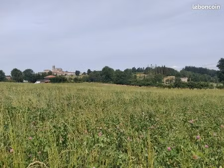 terrain constructible