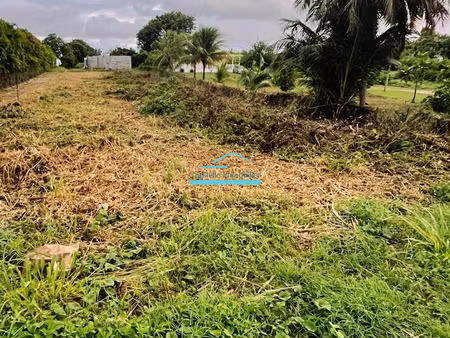 guadeloupe le moule  terrain constructible de 900m2