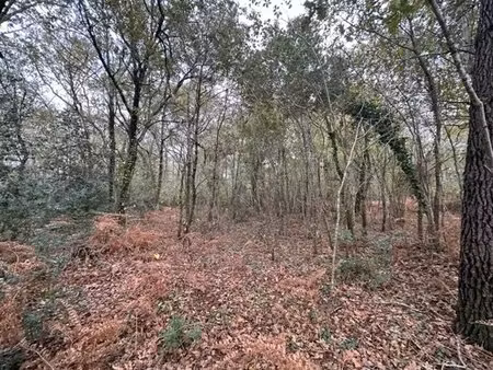 exclusivite le teich terrain 1335 m2