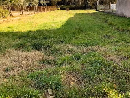 terrain constructible