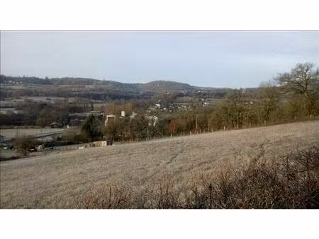 vente terrain 5416 m² ligneyrac (19500)